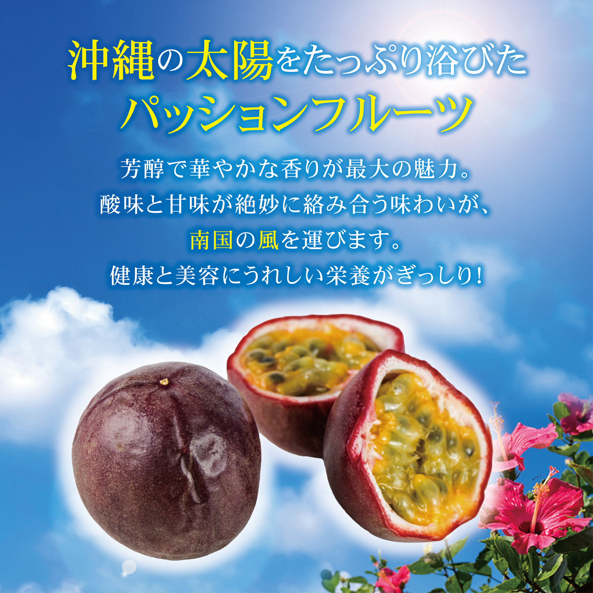 送料込】【予約販売】パッションフルーツ【令和7年5月以降順次