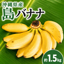 画像をギャラリービューアに読み込む, 【予約販売】沖縄県産 島バナナ 約1.5kg｜送料込
