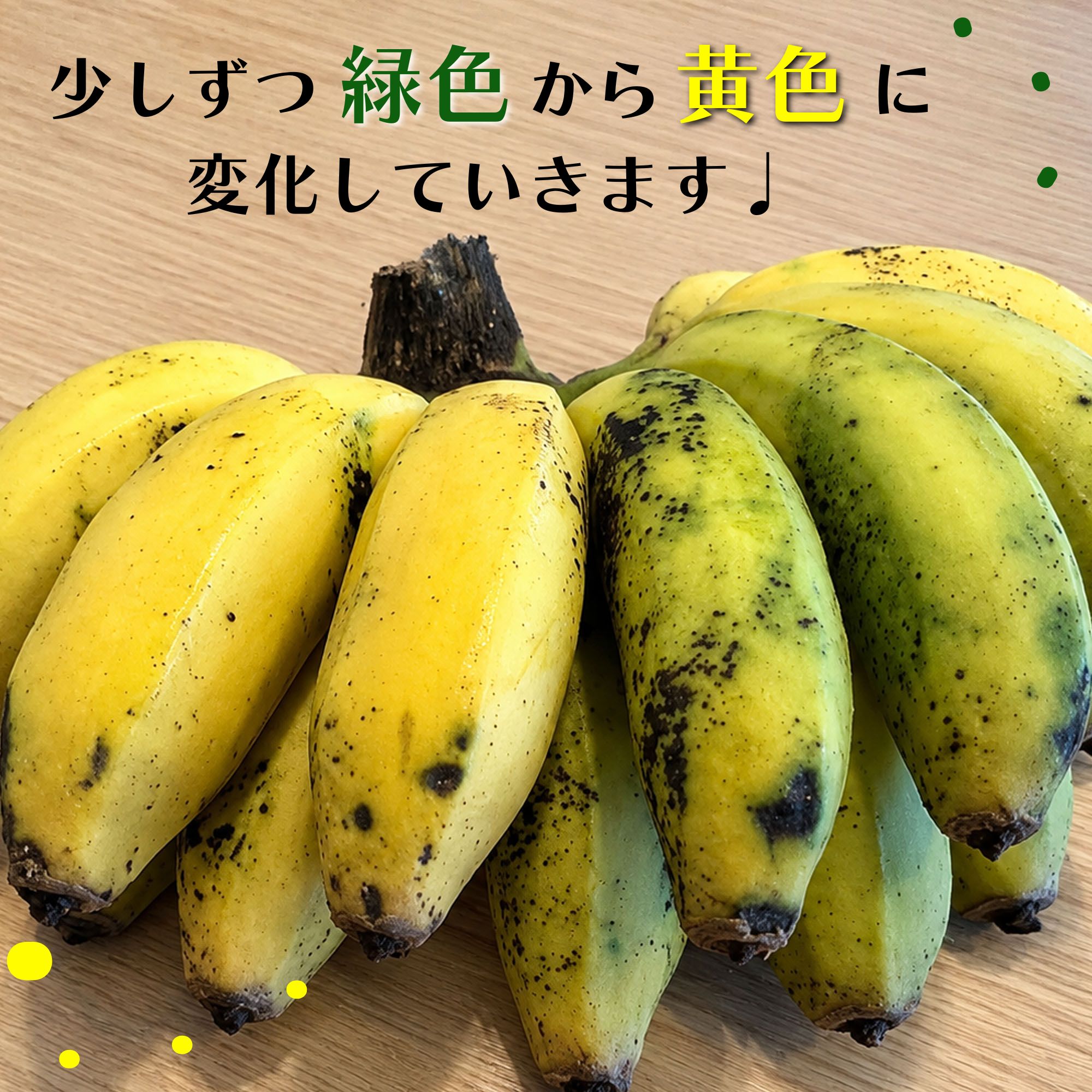 バナナが緑色から黄色へ追熟していく色の変化を示した画像