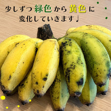 画像をギャラリービューアに読み込む, バナナが緑色から黄色へ追熟していく色の変化を示した画像
