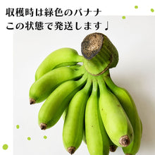 画像をギャラリービューアに読み込む, 出荷時の緑色のバナナの状態を紹介する画像
