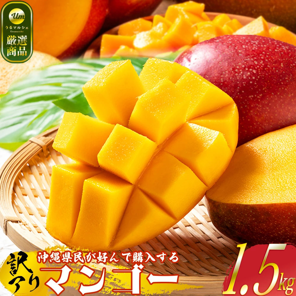 403【予約販売】【ご自宅用】うるま市産の訳ありマンゴー1.5kg　色むら、キズ、ありですが、美味しくお召し上がりいただけます。【送料込】