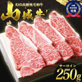 【幻の黒毛和牛・山城牛】サーロイン ステーキカット 250g｜雌牛限定・送料込