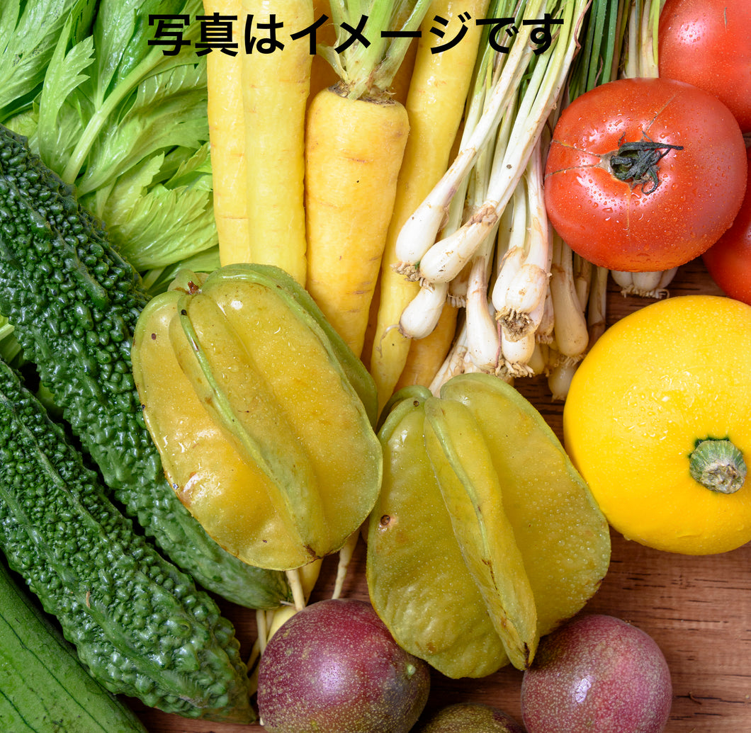 09-01【送料込】うるマルシェおまかせ　野菜＆フルーツセット7000円分【うるまの農産物】　