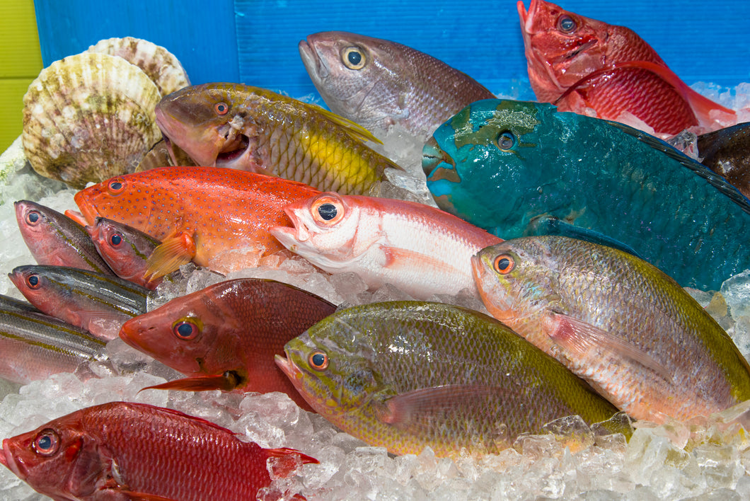 （14）うるマルシェおまかせ鮮魚セット　数量限定！！【送料込】